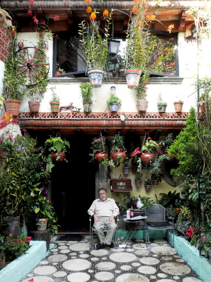 LA VIDA EN EL PATIO